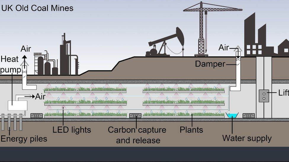 Underground farming concept proposed by Professor Rifatt's group at the University of Nottingham.
